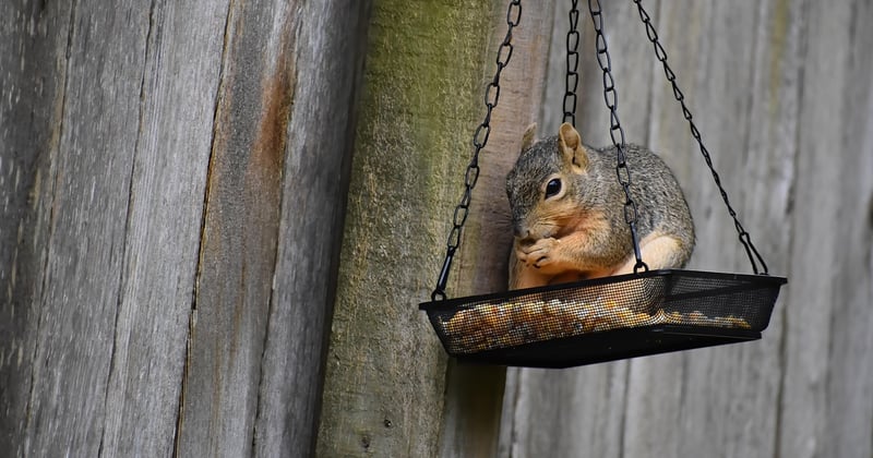 10 recettes pour une alimentation bonne pour les yeux à adopter dès maintenant