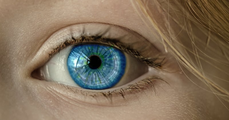 Optique en franchise : les clés de la rentabilité et les avantages concrets