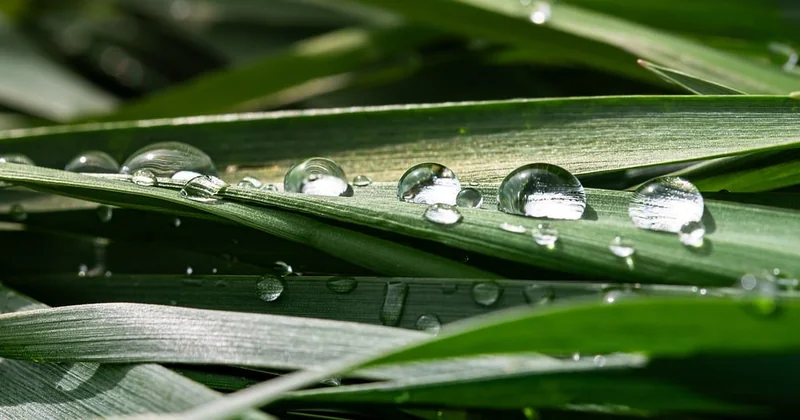 Les gouttes hydratantes, une solution sans risque ?